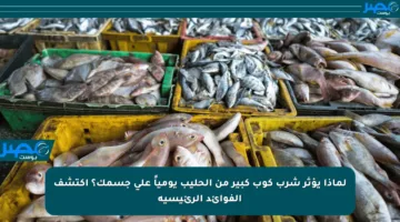 لماذا يؤثر شرب كوب كبير من الحليب يومياً على جسمك؟ اكتشف الفوائد الرئيسية